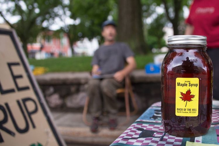 Baraboo, WI Homes for Sale & Real Estate