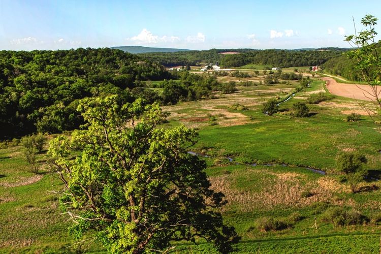 Black Earth, WI Homes for Sale and Realtors