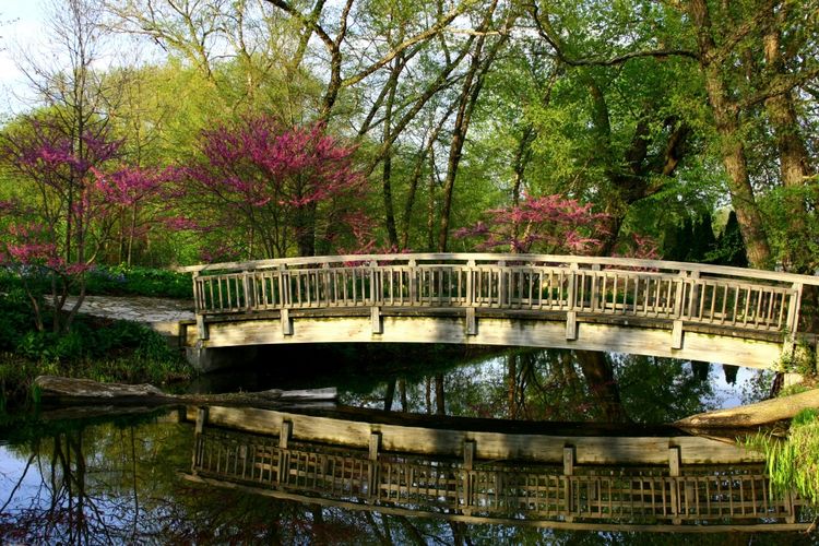 Madison, WI Homes for Sale | Madison Realtors