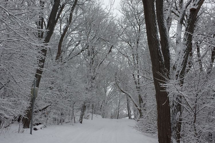 Shorewood Hills Homes for Sale and Realtors